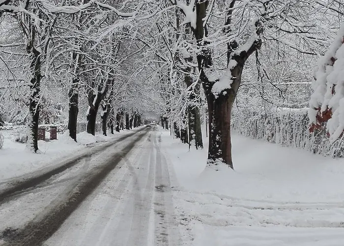 度假居 Du Baroudeur 斯帕